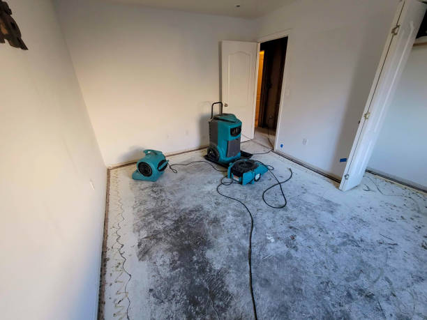 Best Flood damage cleanup  in Elm Creek, NE