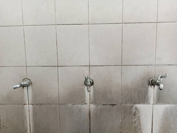 Best Basement water damage restoration  in Elm Creek, NE