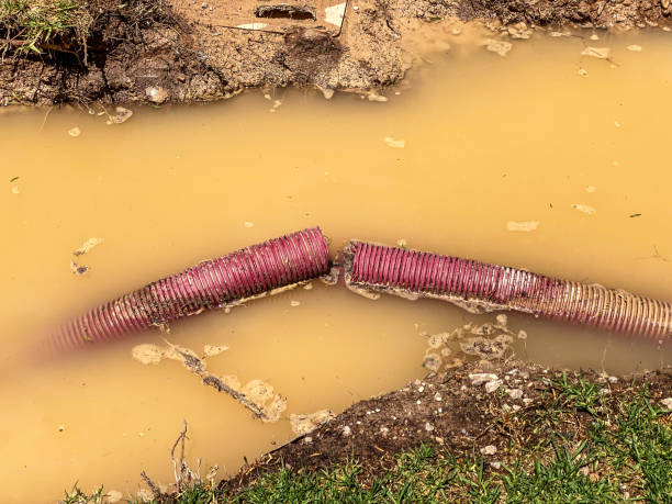 Best Local water damage restoration  in Elm Creek, NE